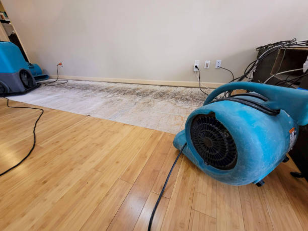 Professional Emergency Water Damage technician working in Knightsen, CA